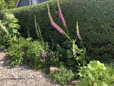 Holiday house Scheersbergkate - Outdoor photo 7