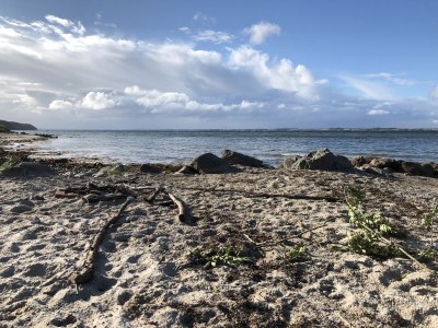 Holiday house Scheersbergkate - Environment photo 28