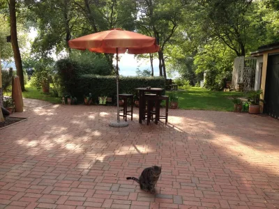 Villa Villa am Wendsee - Outdoor photo 6