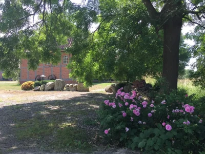 Cottage Remise unter dem Storchennest - Outdoor photo 9