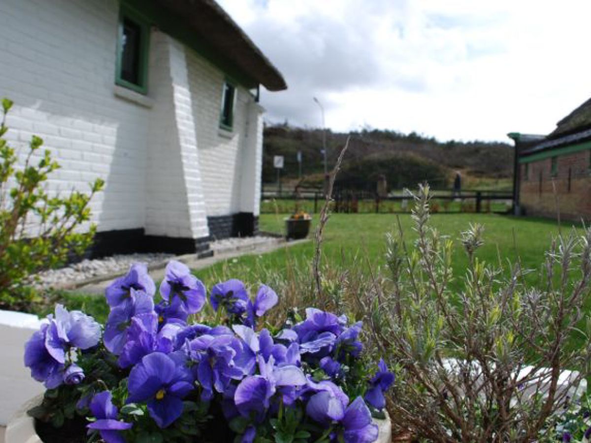 Holiday apartment Elck wat Wils - Outdoor photo 2