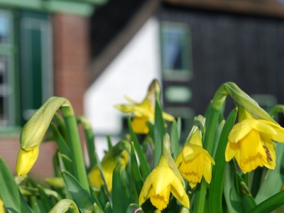 Holiday apartment Elck wat Wils - Outdoor photo 6