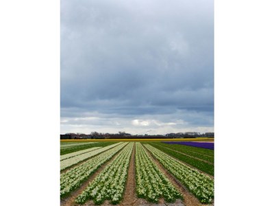 Holiday apartment Elck wat Wils - Environment photo 18