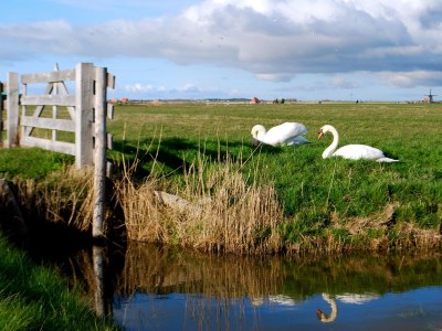 Holiday apartment Elck wat Wils - Environment photo 19