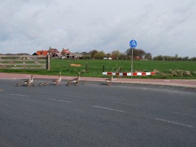 Holiday apartment Elck wat Wils - Document photo 21