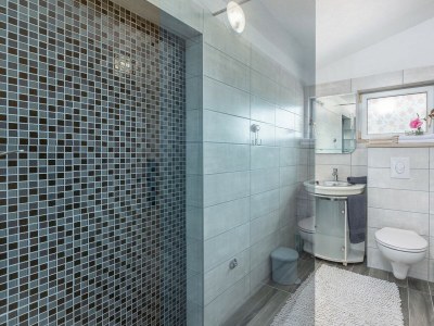 Apartment Visnjan No.1 - Features photo 21