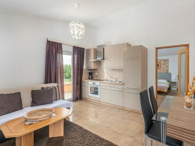 Apartment Visnjan No.1 - Features photo 24