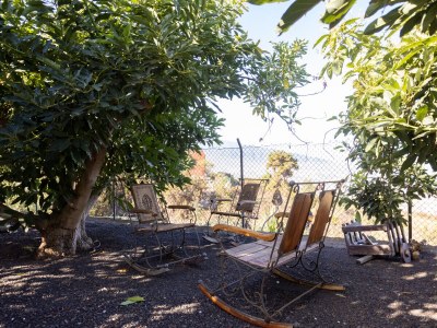 Finca Panoramica Teidemar - Outdoor photo 16