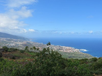 Finca Panoramica Teidemar - Environment photo 34