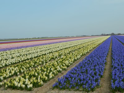 Holiday house Nele - Environment photo 21