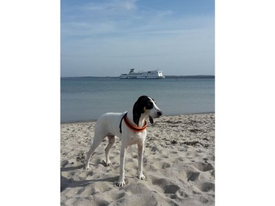 Holiday apartment warehouse loft at historic port - Environment photo 23
