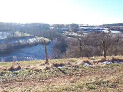 Holiday apartment am Nationalpark Eifel - Environment photo 21