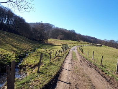 Holiday apartment am Nationalpark Eifel - Environment photo 22