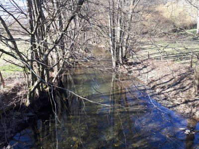 Holiday apartment am Nationalpark Eifel - Environment photo 23