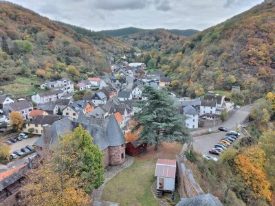 Holiday apartment am Nationalpark Eifel - Environment photo 25
