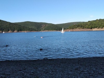 Holiday apartment am Nationalpark Eifel - Environment photo 27