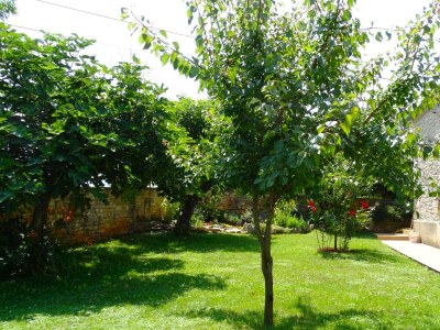 Holiday house Radovani - Outdoor photo 35