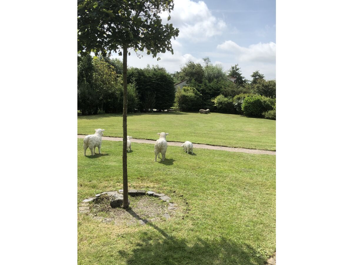 Holiday house NÃ¶hles - Outdoor photo 5