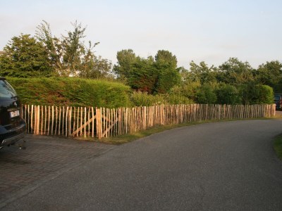 Holiday house NÃ¶hles - Outdoor photo 3