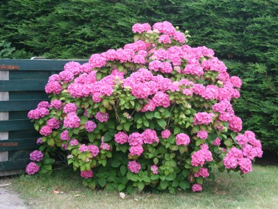 Holiday house NÃ¶hles - Outdoor photo 7