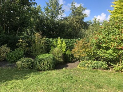 Holiday house NÃ¶hles - Outdoor photo 8