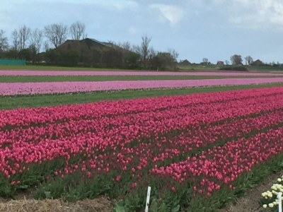 Holiday house NÃ¶hles - Environment photo 33