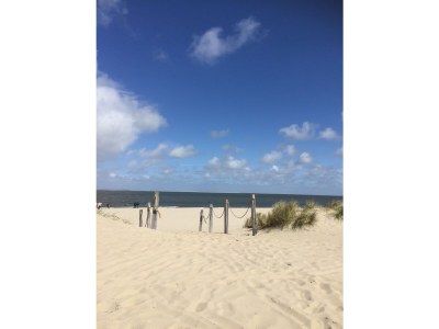 Holiday house NÃ¶hles - Environment photo 34