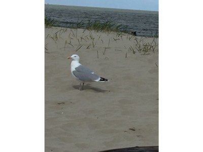 Holiday house NÃ¶hles - Environment photo 35