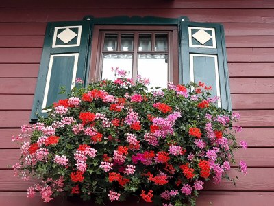 Holiday house House for two families in the mountains - Outdoor photo 6