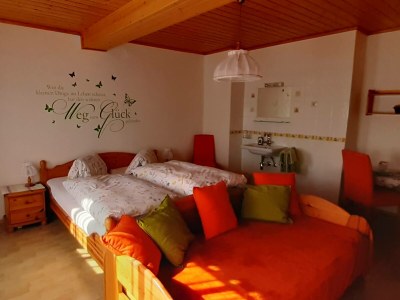 Holiday house House for two families in the mountains - Features photo 14