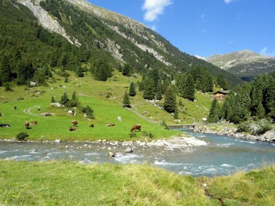 Holiday apartment with sauna for 10 people - Environment photo 15