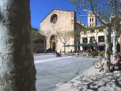 Finca Calvari - Environment photo 32