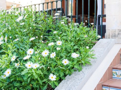 Chalet Can Barret - Outdoor photo 8