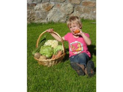 Holiday apartment Ortlerhof - Outdoor photo 3