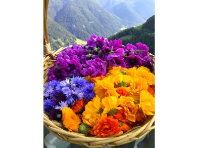 Holiday apartment Ortlerhof - Outdoor photo 6