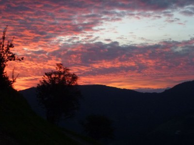 Holiday apartment Ortlerhof - Environment photo 13