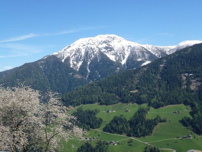 Holiday apartment Ortlerhof - Environment photo 14