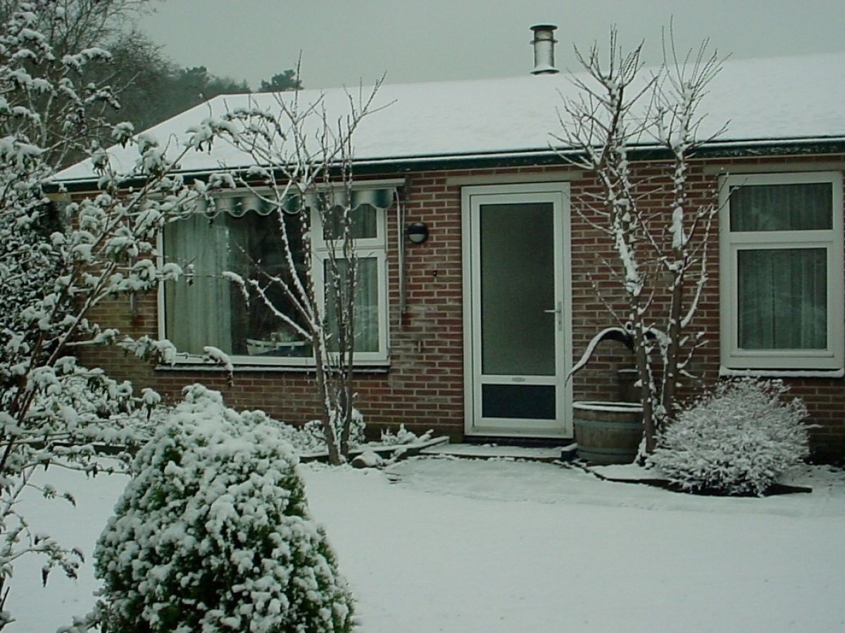 Bungalow Bungalow in Schoorl - Outdoor photo 2