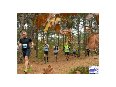 Bungalow Bungalow in Schoorl - Environment photo 10