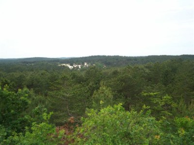 Bungalow Bungalow in Schoorl - Environment photo 14