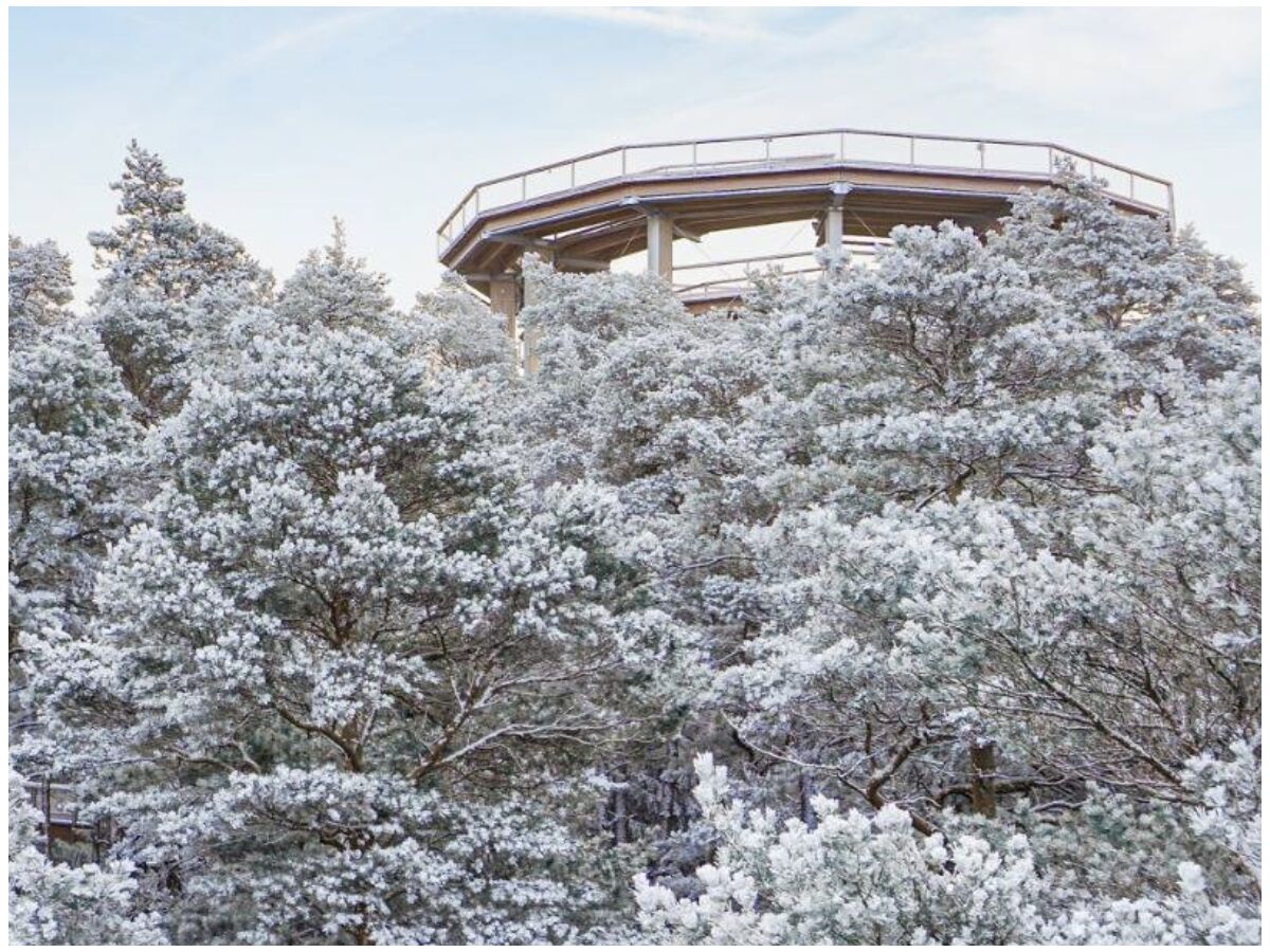 Holiday apartment Les Petits Vignerons - Outdoor photo 4