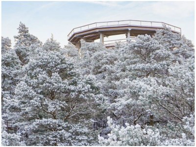 Holiday apartment Les Petits Vignerons - Outdoor photo 4