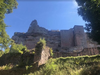 Holiday apartment Les Petits Vignerons - Environment photo 25