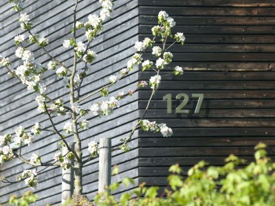 Holiday apartment Gerhard - Outdoor photo 2