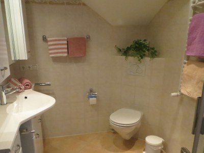 Holiday apartment Widderstein in the guesthouse on the mountain - Features photo 8