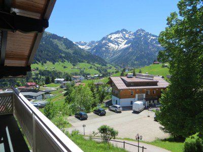 Holiday apartment Widderstein in the guesthouse on the mountain - Environment photo 14