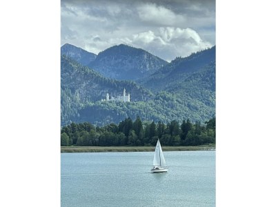 Holiday apartment Herkommer - Environment photo 33