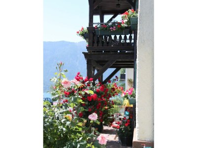 Holiday apartment Windhager - Outdoor photo 3