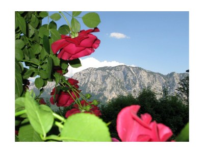 Holiday apartment Windhager - Outdoor photo 6