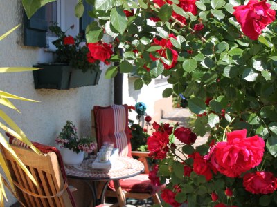 Holiday apartment Windhager - Outdoor photo 13